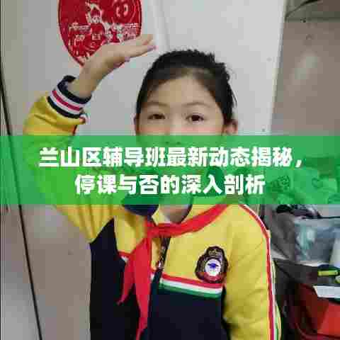 兰山区辅导班最新动态揭秘，停课与否的深入剖析