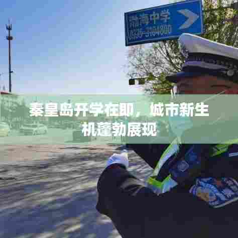 秦皇岛开学在即，城市新生机蓬勃展现