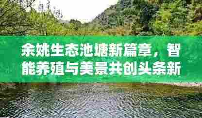 余姚生态池塘新篇章,智能养殖与美景共创头条新闻