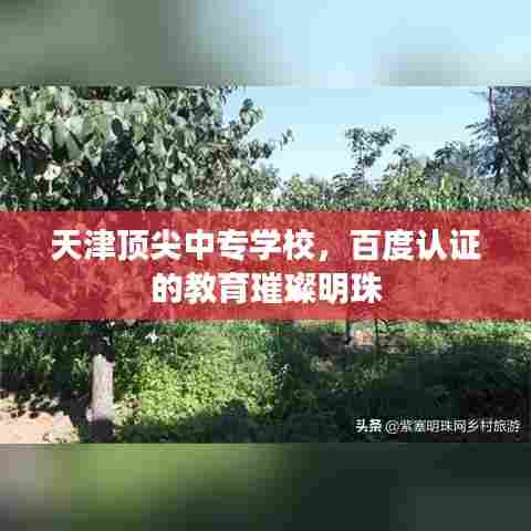 天津顶尖中专学校,百度认证的教育璀璨明珠