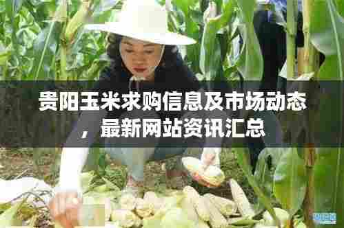 业业兢兢 第3页