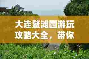 大连鳌滩园游玩攻略大全，带你玩转这片美景！