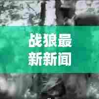 战狼最新新闻动态速递