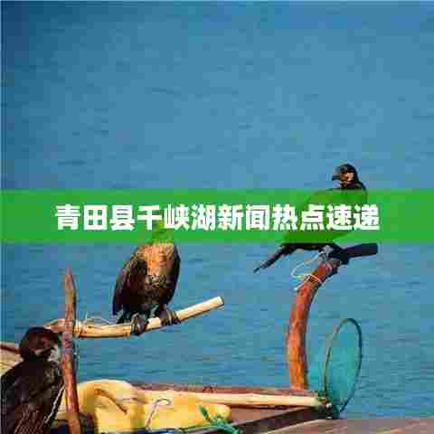 青田县千峡湖新闻热点速递