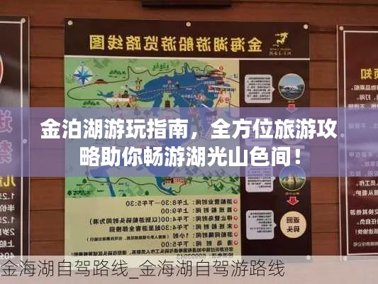 金泊湖游玩指南,全方位旅游攻略助你畅游湖光山色间!