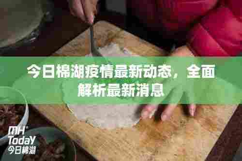 今日棉湖疫情最新动态，全面解析最新消息