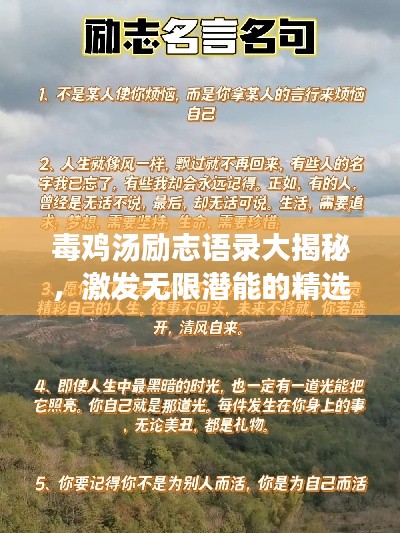 毒鸡汤励志语录大揭秘,激发无限潜能的精选箴言
