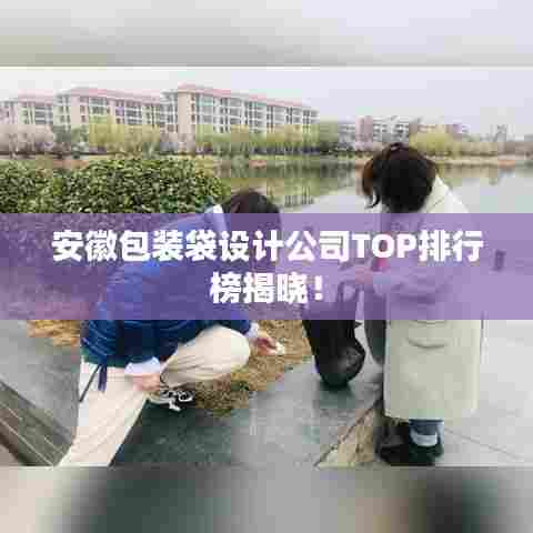 安徽包装袋设计公司TOP排行榜揭晓!