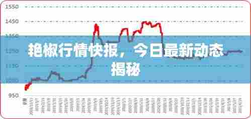 艳椒行情快报,今日最新动态揭秘