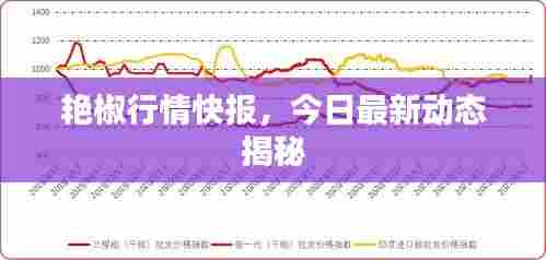 艳椒行情快报,今日最新动态揭秘