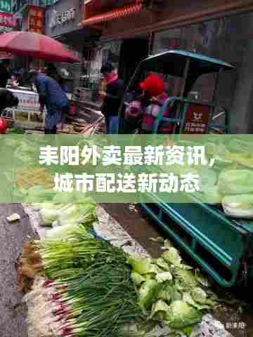 观往知来 第3页