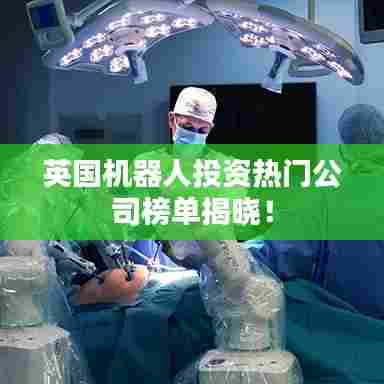 英国机器人投资热门公司榜单揭晓！