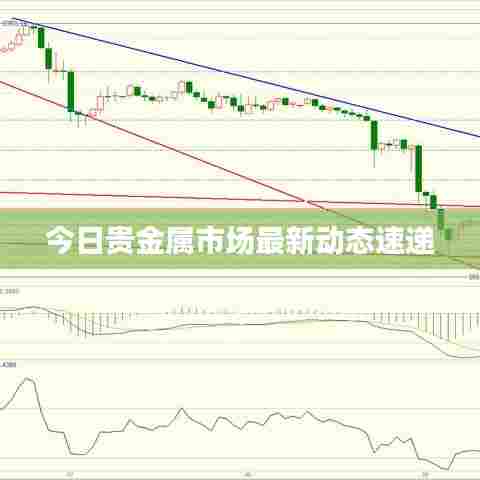 今日贵金属市场最新动态速递