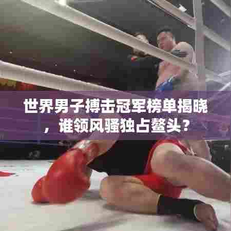 世界男子搏击冠军榜单揭晓,谁领风骚独占鳌头?