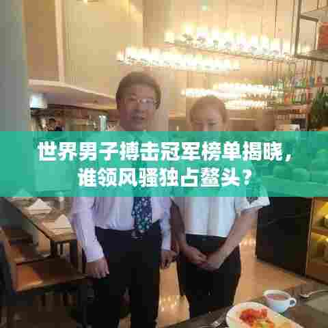 世界男子搏击冠军榜单揭晓,谁领风骚独占鳌头?