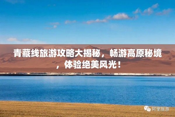 刻画入微 第3页