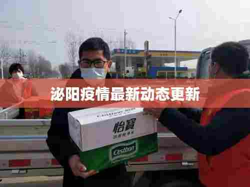泌阳疫情最新动态更新
