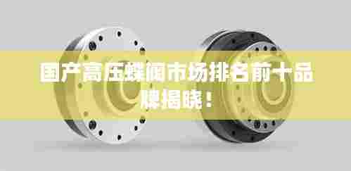 国产高压蝶阀市场排名前十品牌揭晓！