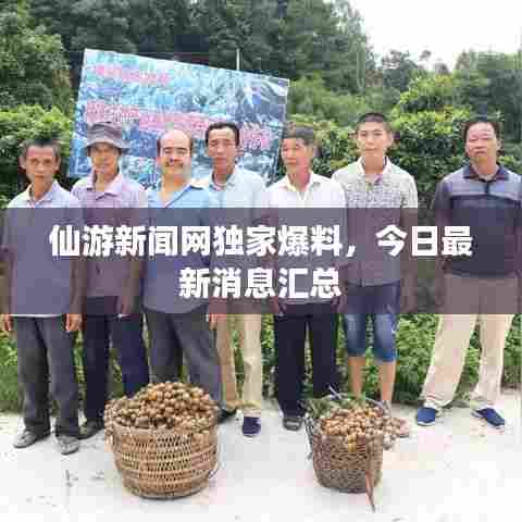 仙游新闻网独家爆料,今日最新消息汇总