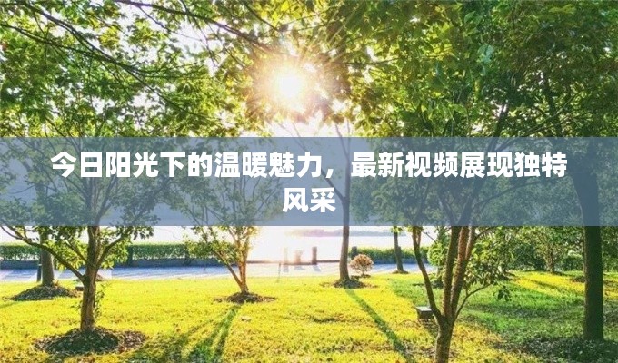 今日阳光下的温暖魅力，最新视频展现独特风采