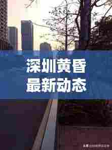 深圳黄昏最新动态报道