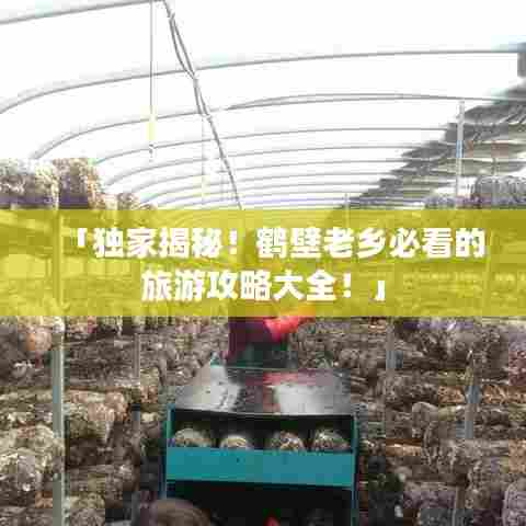 「独家揭秘!鹤壁老乡必看的旅游攻略大全!」