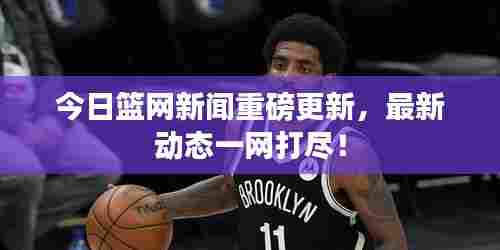 今日篮网新闻重磅更新，最新动态一网打尽！