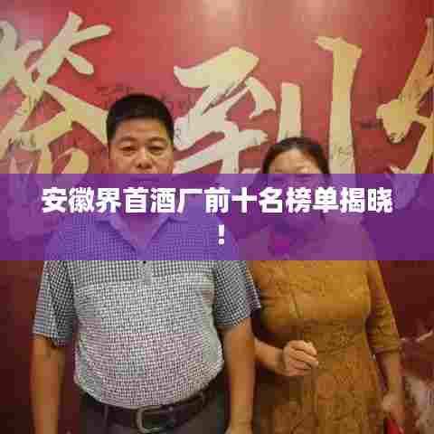 安徽界首酒厂前十名榜单揭晓！