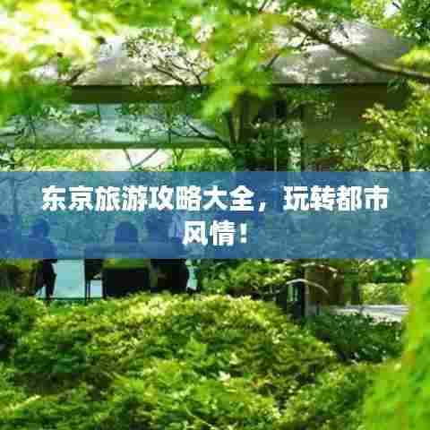 东京旅游攻略大全,玩转都市风情!