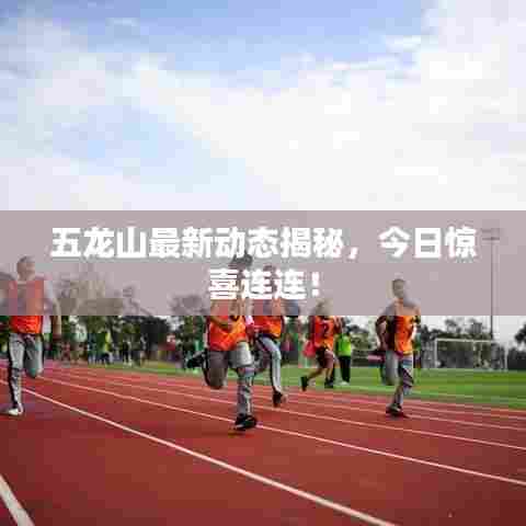 丰容盛鬋 第3页