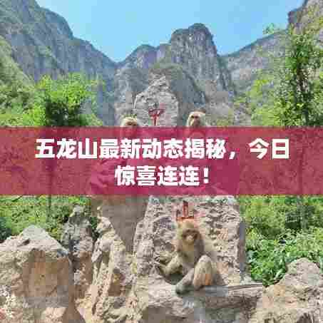 五龙山最新动态揭秘,今日惊喜连连!
