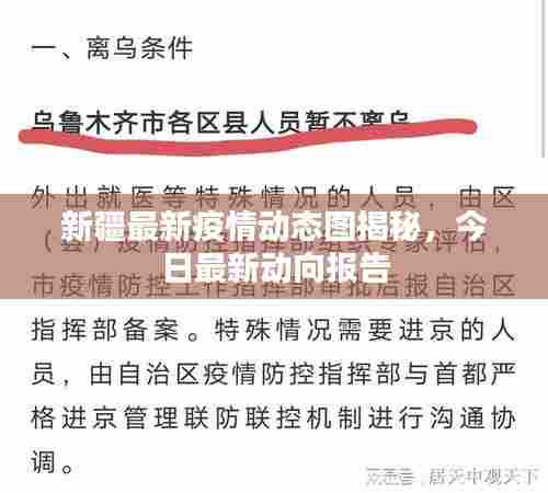 新疆最新疫情动态图揭秘,今日最新动向报告