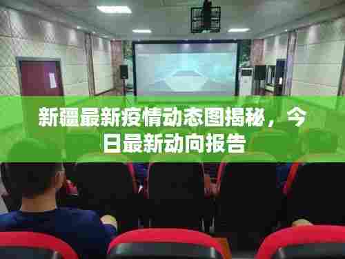 新疆最新疫情动态图揭秘,今日最新动向报告