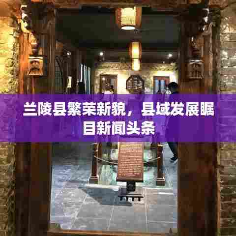 橘虞初梦 第3页