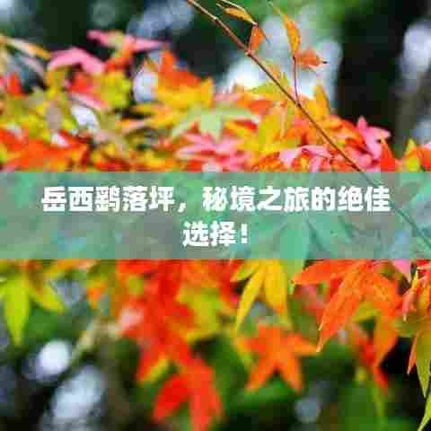 岳西鹞落坪,秘境之旅的绝佳选择!