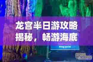 龙宫半日游攻略揭秘，畅游海底仙境！