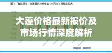 大蓬价格最新报价及市场行情深度解析