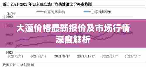 大蓬价格最新报价及市场行情深度解析