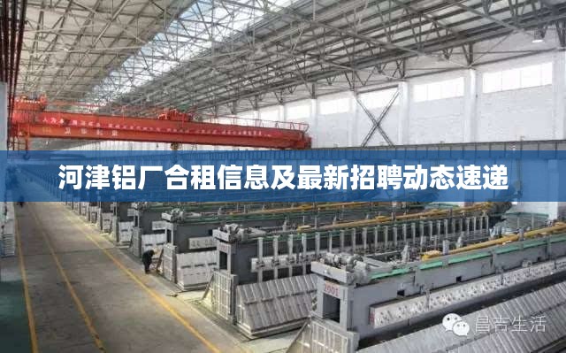 河津铝厂合租信息及最新招聘动态速递