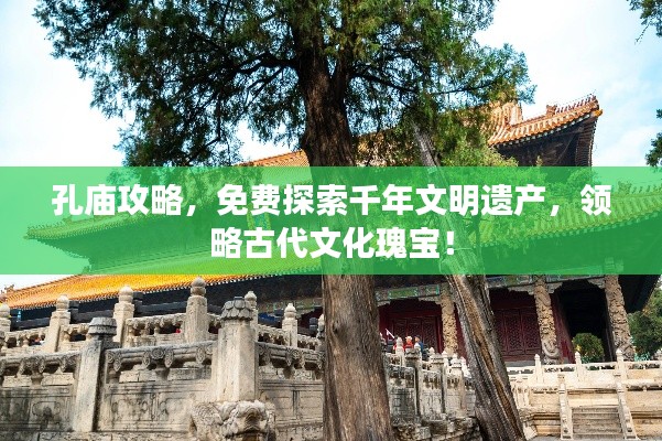 孔庙攻略，免费探索千年文明遗产，领略古代文化瑰宝！