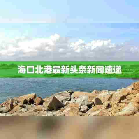 海口北港最新头条新闻速递