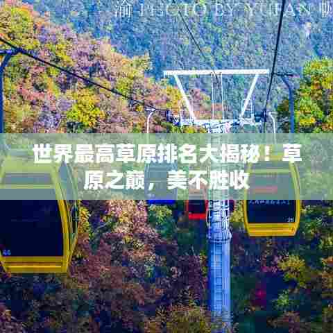 世界最高草原排名大揭秘!草原之巅,美不胜收