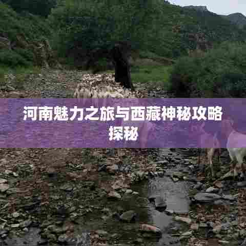 河南魅力之旅与西藏神秘攻略探秘