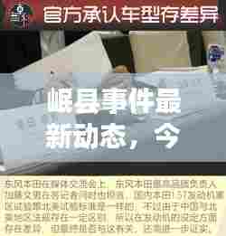 岷县事件最新动态,今日最新进展揭秘!