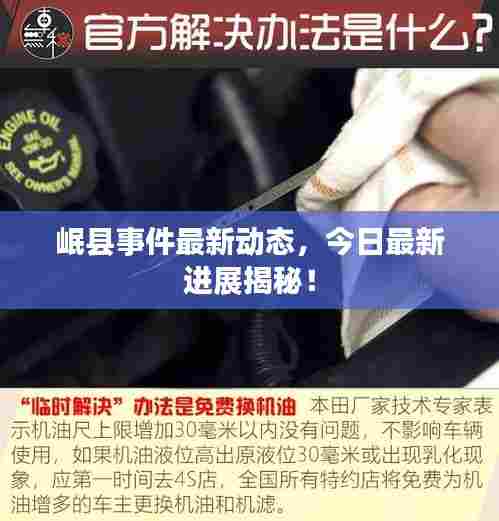 岷县事件最新动态，今日最新进展揭秘！