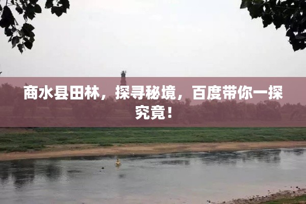 漫不经心 第3页