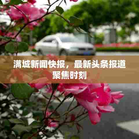 满城新闻快报,最新头条报道聚焦时刻