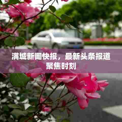 满城新闻快报,最新头条报道聚焦时刻