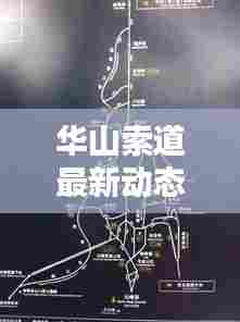 华山索道最新动态,今日消息一网打尽!