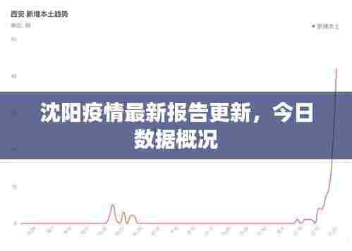 沈阳疫情最新报告更新,今日数据概况